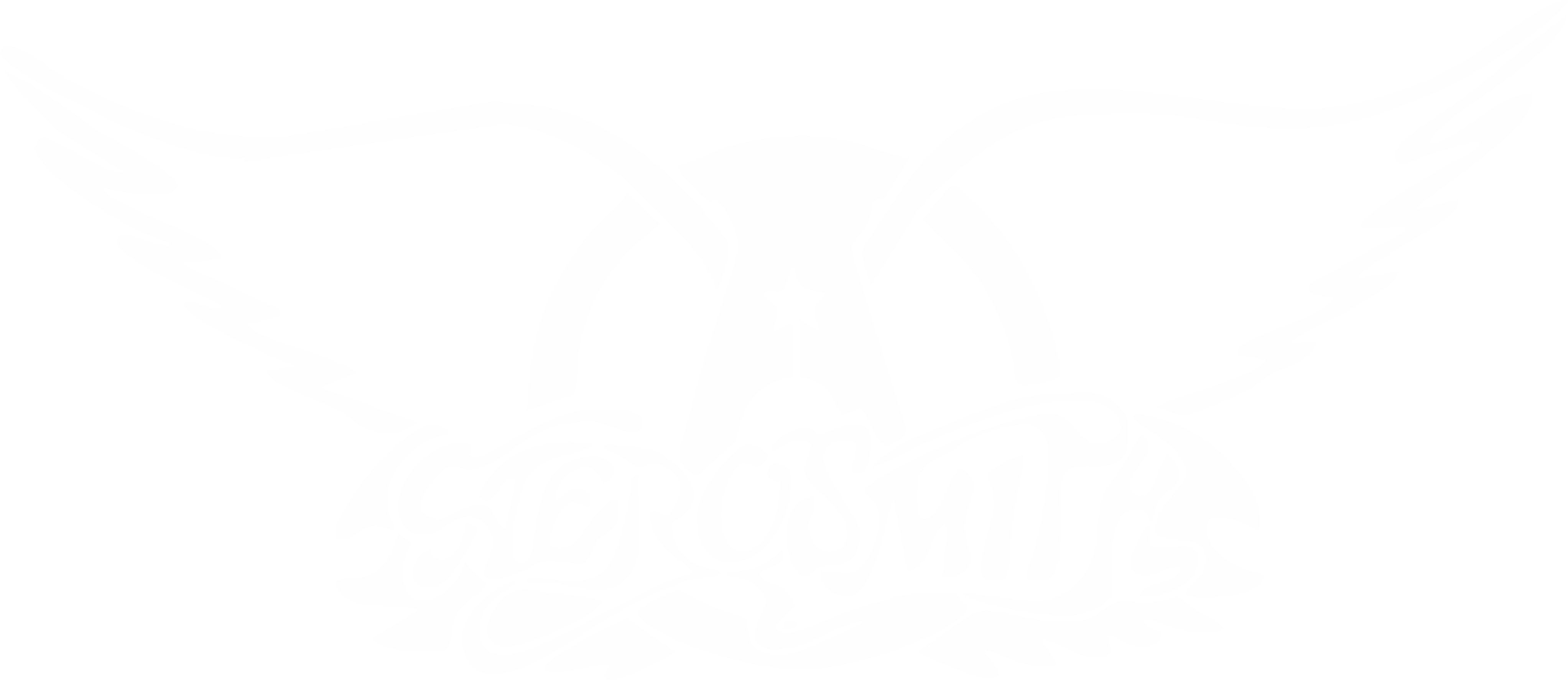 aerosmith-camiseta